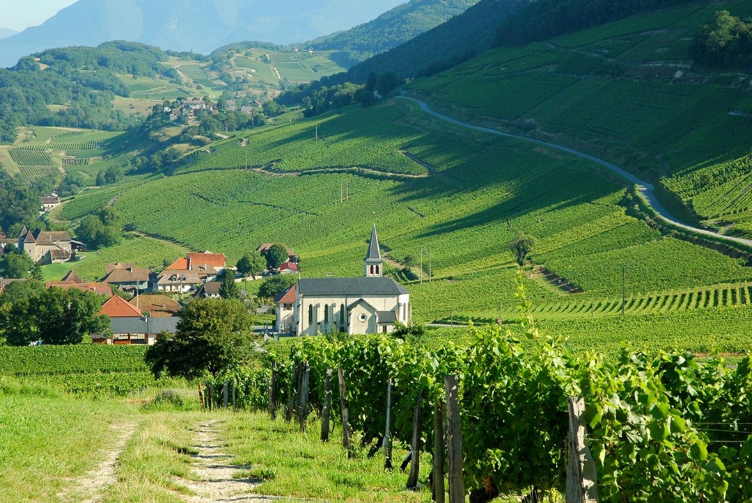 Les Vins De Savoie Apremont Info Loisirs Brochures touristiques