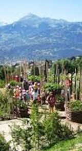 Jardin des Cimes
