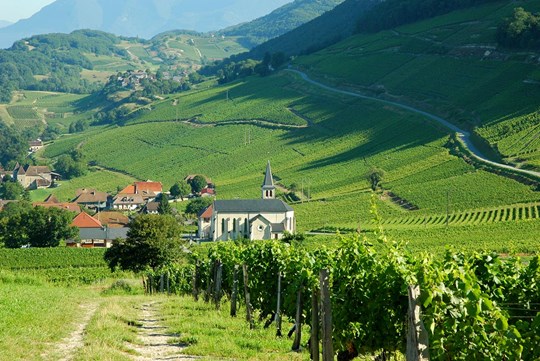 Les Vins De Savoie 