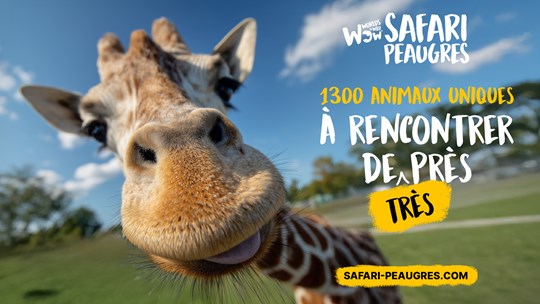 Safari De Peaugres