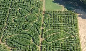 Labyrinthe Vegetal