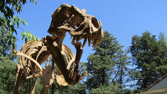 Muséum de l'Ardèche à Balazuc