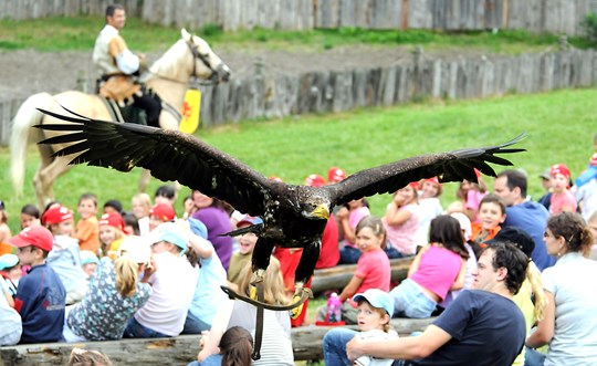 Les Aigles Du Leman