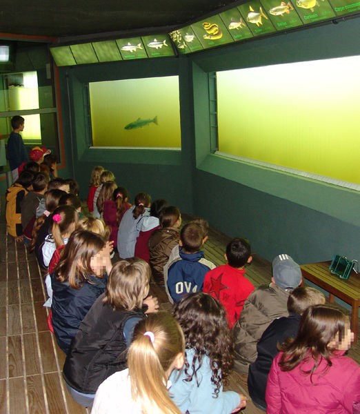 OBSERVATOIRE DES POISSONS MIGRATEURS