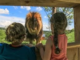 Parc Animalier D'auvergne