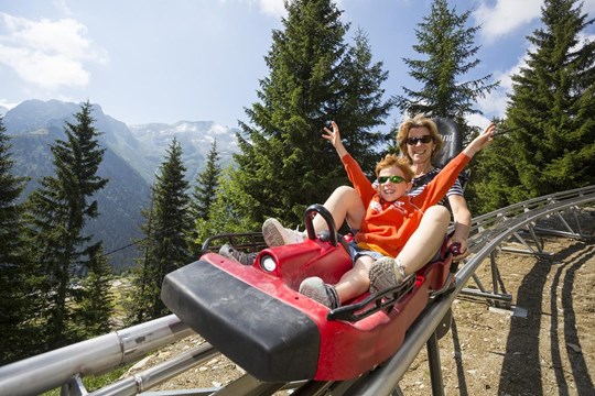 Wizluge